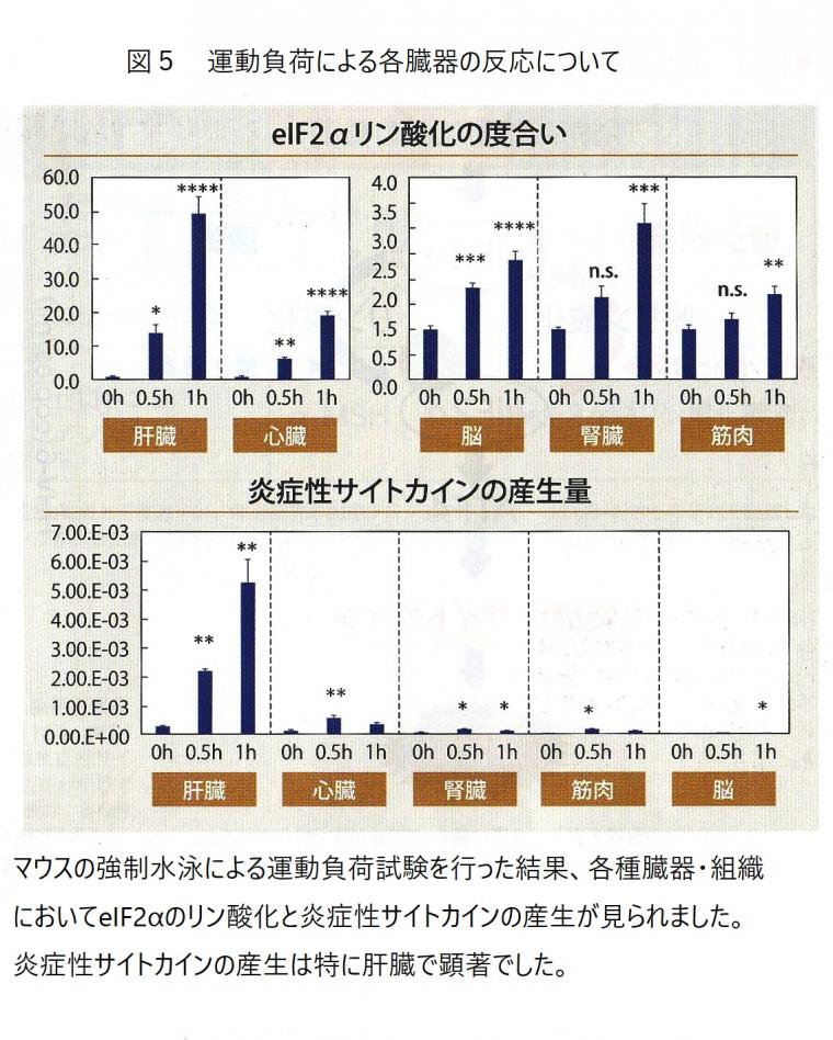 疲労について（前編）