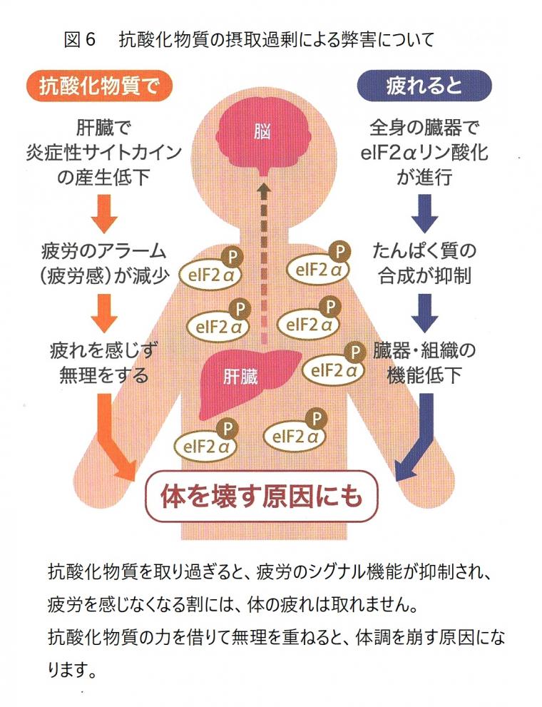 疲労について（前編）