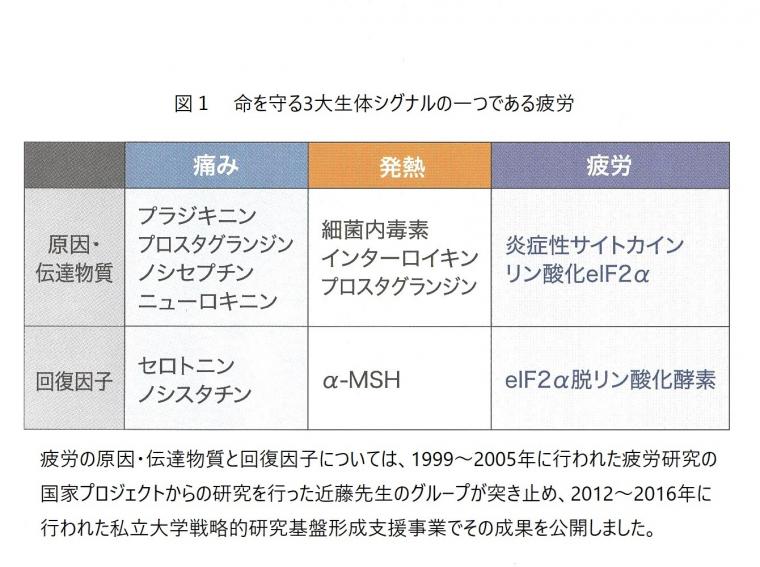 疲労について（前編）