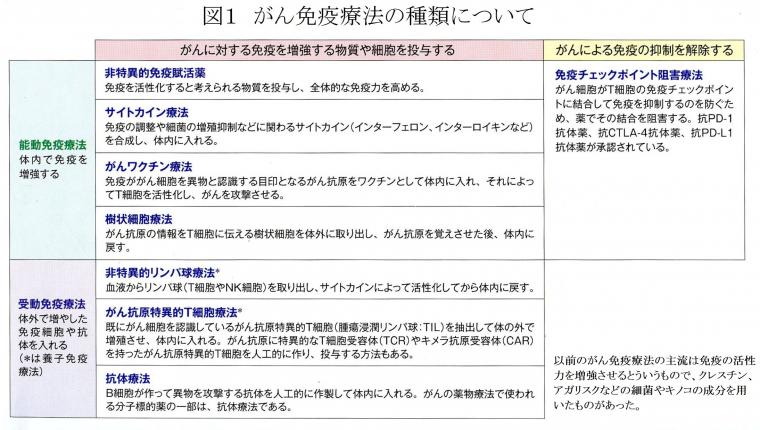 現在のがん免疫療法について