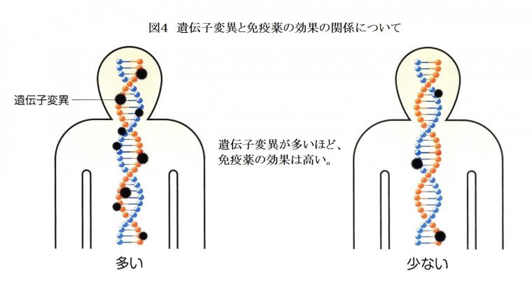 現在のがん免疫療法について