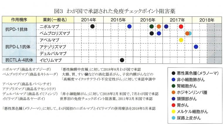 現在のがん免疫療法について