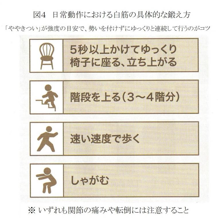 骨格筋と健康寿命の関係について（前編）