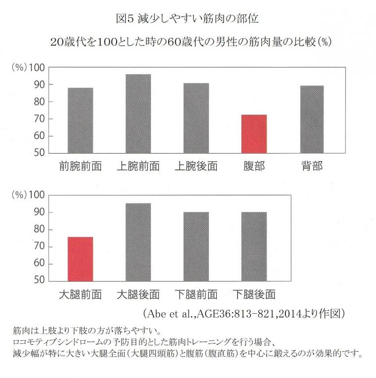 骨格筋と健康寿命の関係について（前編）