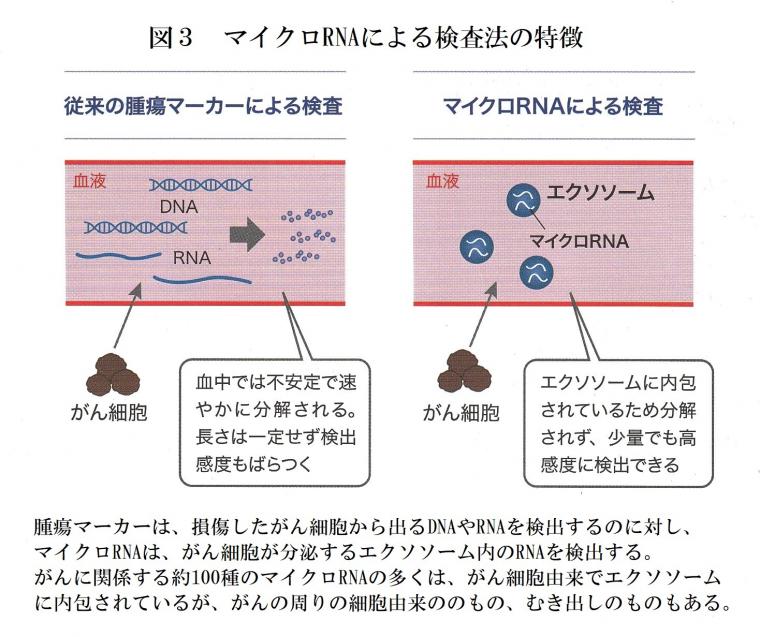 がんの診断に関わる「マイクロRNA」について（前編）