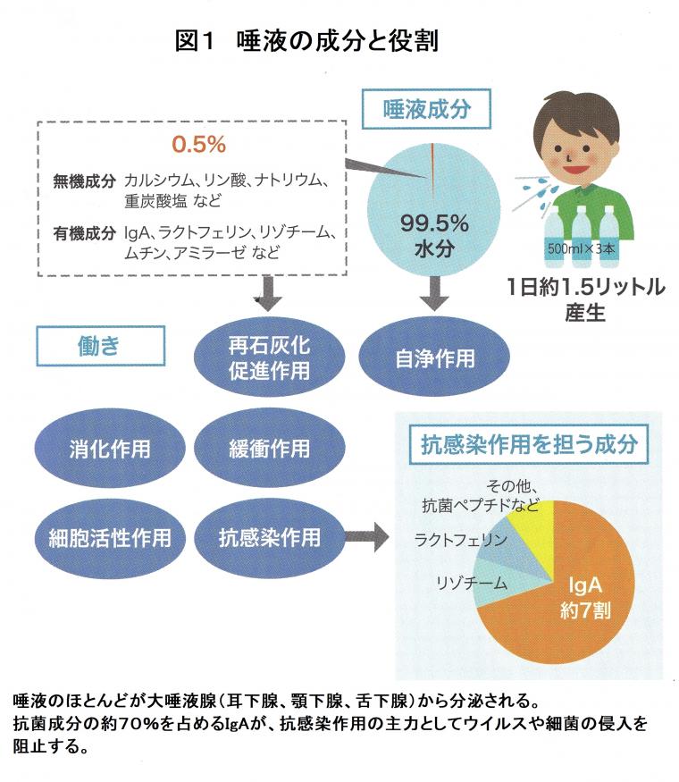 「腸‐唾液腺相関について（前編）」