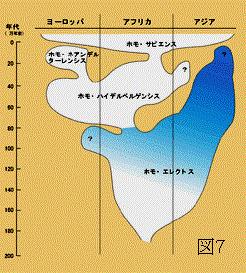 人類の進化と不正咬合の出現について