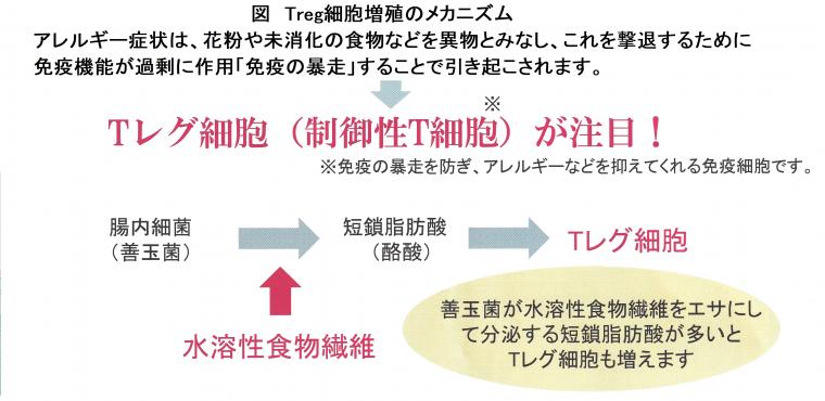 「腸活というアレルギー対策について」