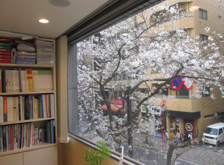 今年も当院から見える桜が満開となりました!