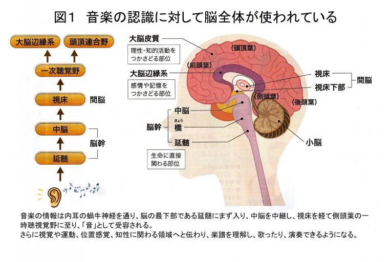 音楽と心の深い関係について