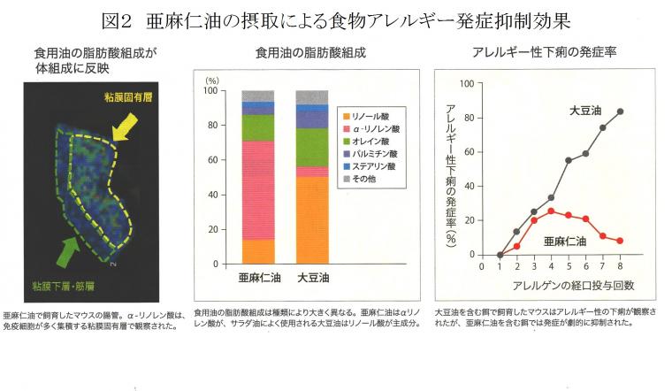 腸内細菌研究の最新レポート（前編）