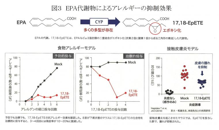 腸内細菌研究の最新レポート（後編）