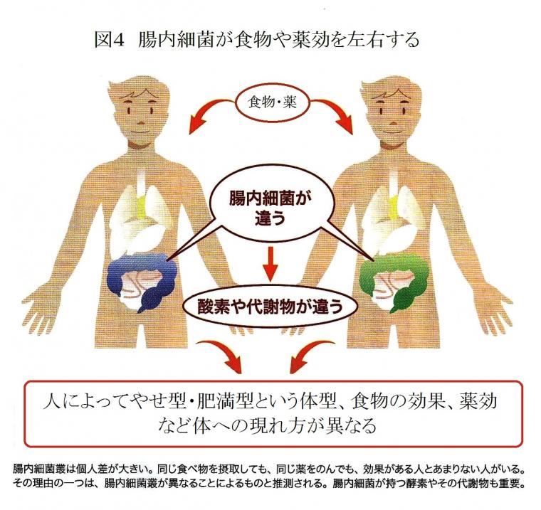 腸内細菌研究の最新レポート（後編）