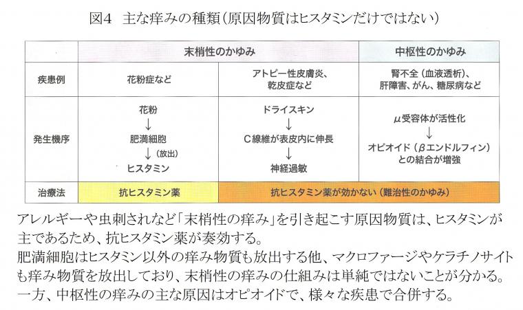 「痒み」について（後編）