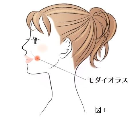 女性の方、必見!あなたの顔をもっと若く美人にするために!～後編