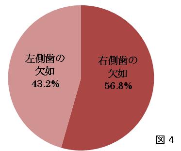 被検者の最少年齢が永久歯先天性欠如の発現に与える影響について