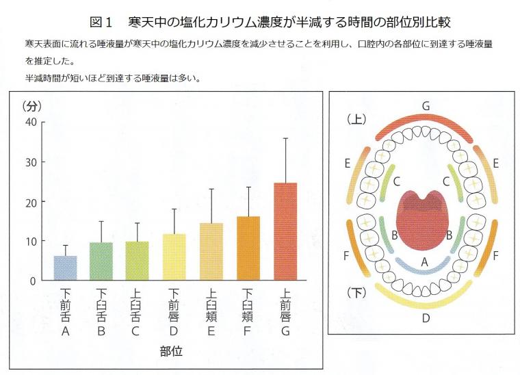 口腔ケアのカギである唾液について