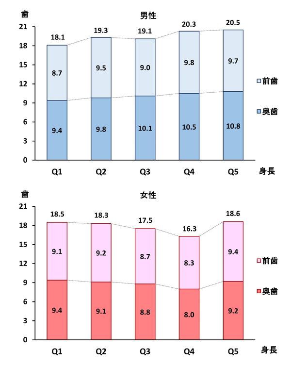 身長と歯数についての関連性について