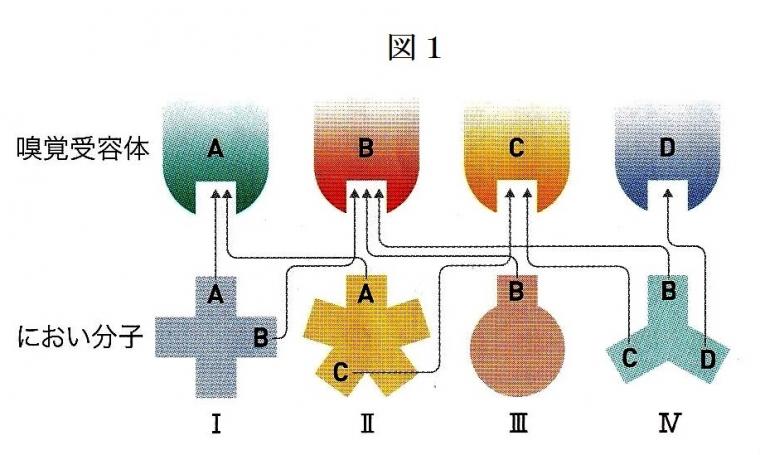 「香り」がもたらす生理作用について