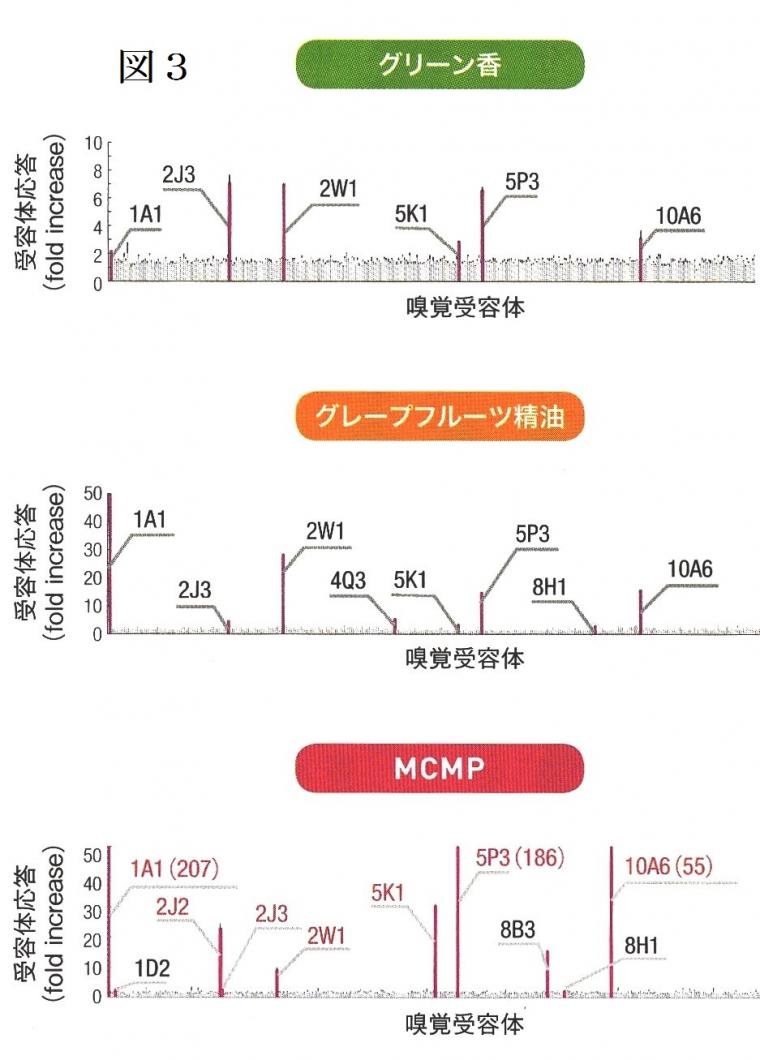 「香り」がもたらす生理作用について