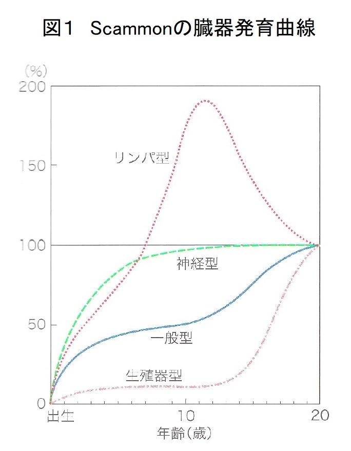 成長発育の定義と上下顎骨の成長発育を含む出生後の成長発育ついて