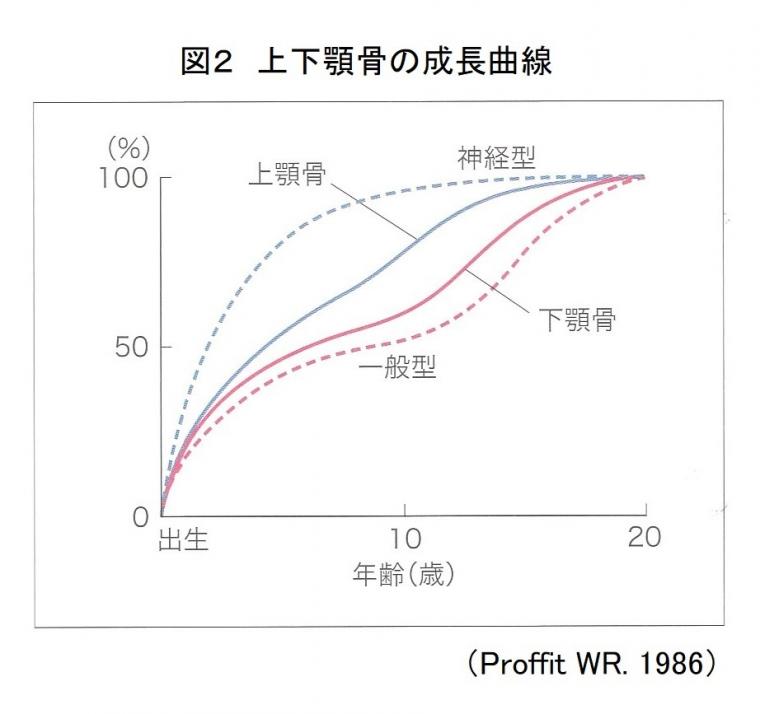 成長発育の定義と上下顎骨の成長発育を含む出生後の成長発育ついて