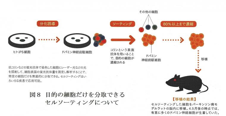 iPS細胞を利用したパーキンソン病の治験について（後編）